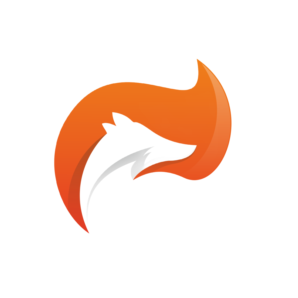 TidyFox